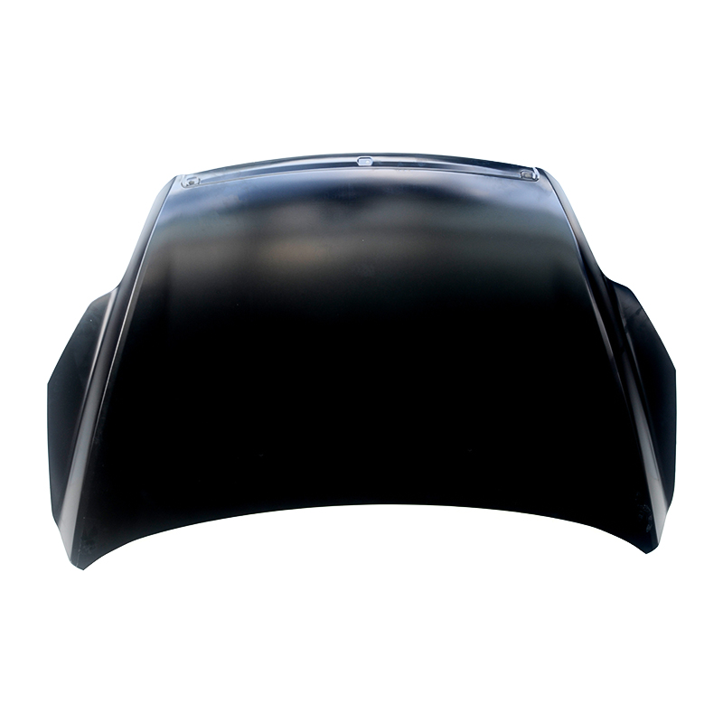 2009 Focus Motorhaube