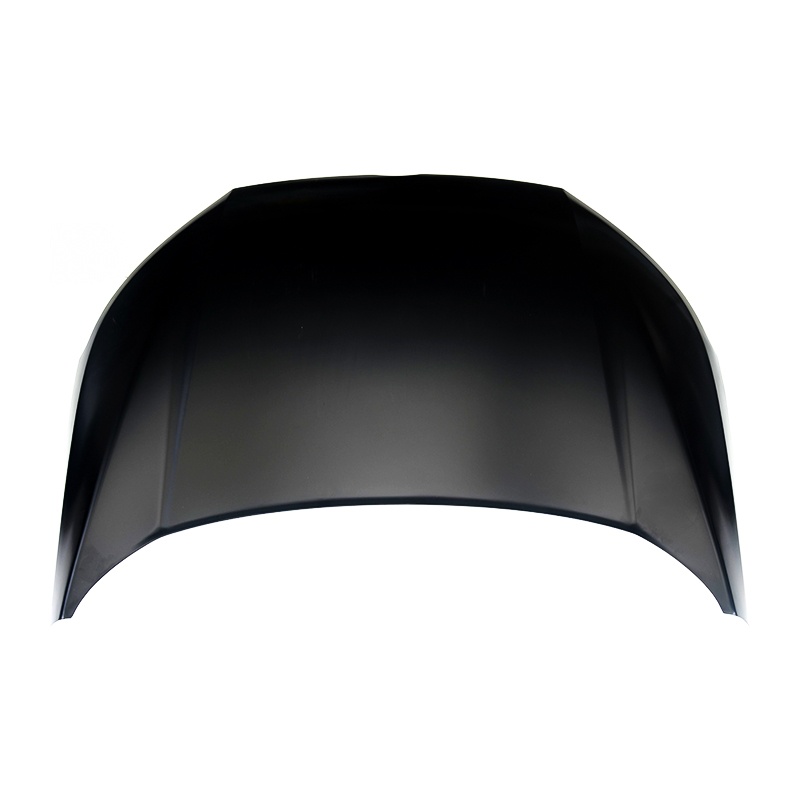 2013 Ford Ecosport Motorhaube