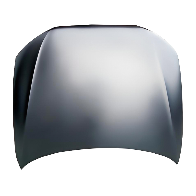 A4 B8 13 Haube