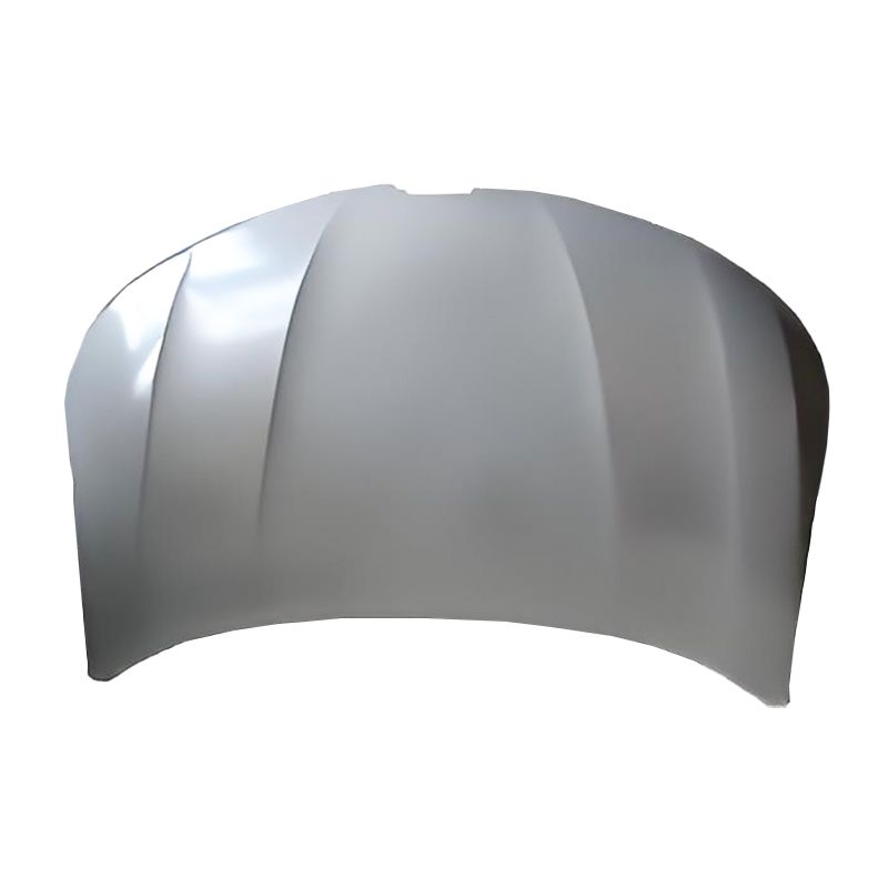 KOLEOS 17 Haube