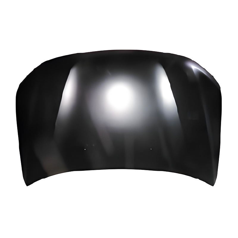 RENAULT DACIA DUSTER 18 Motorhaube