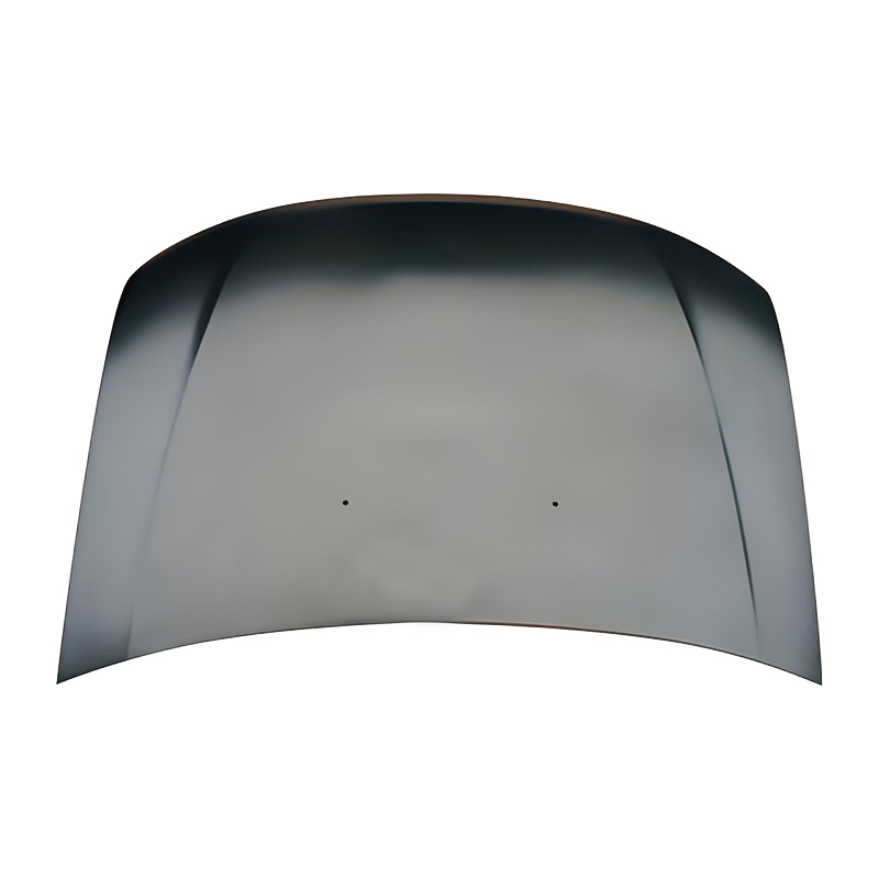 RENAULT DUSTER 09 Motorhaube