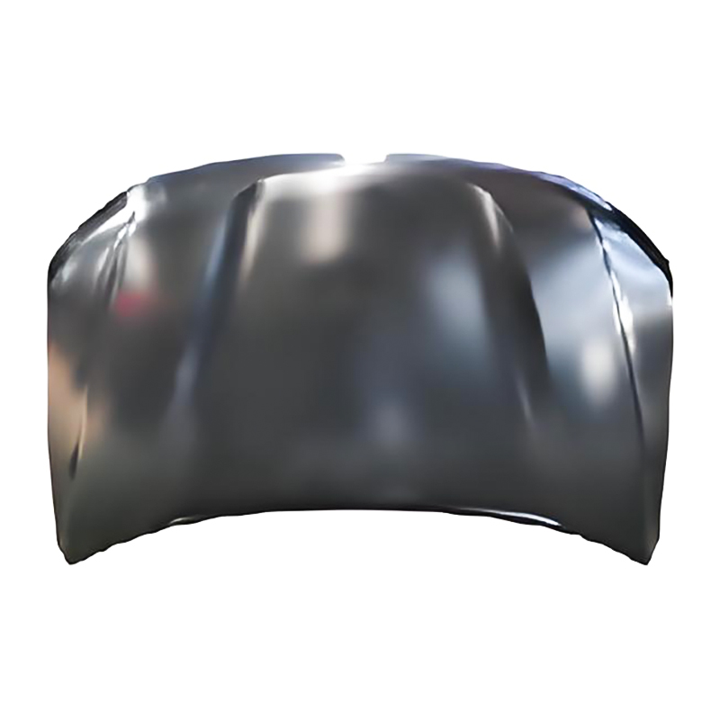 RENAULT DUSTER 18Motorhaube