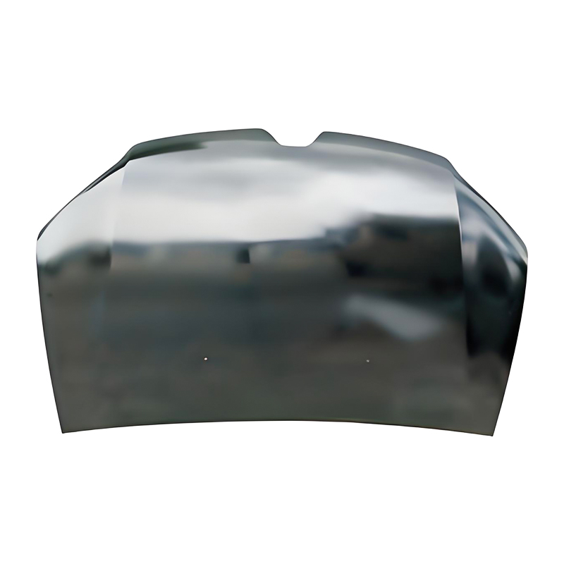 SANDERO 13 Haube