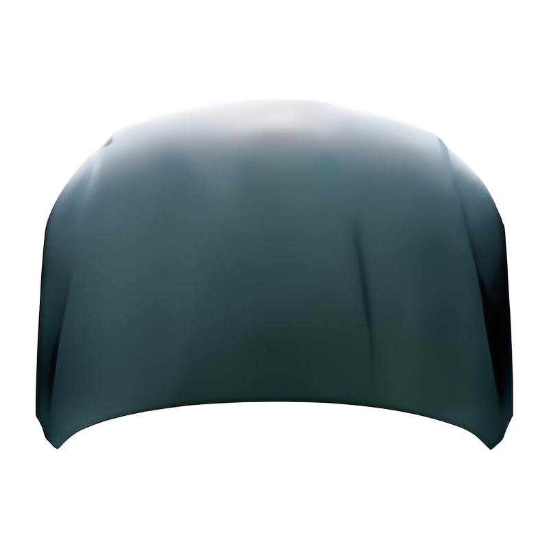 PASSAT CC 08 Motorhaube