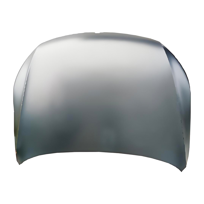PASSAT CC 08 Motorhaube