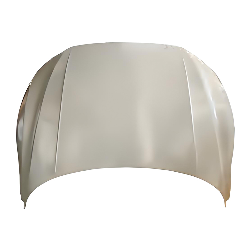 PASSAT CC 19 Motorhaube Motorhaube