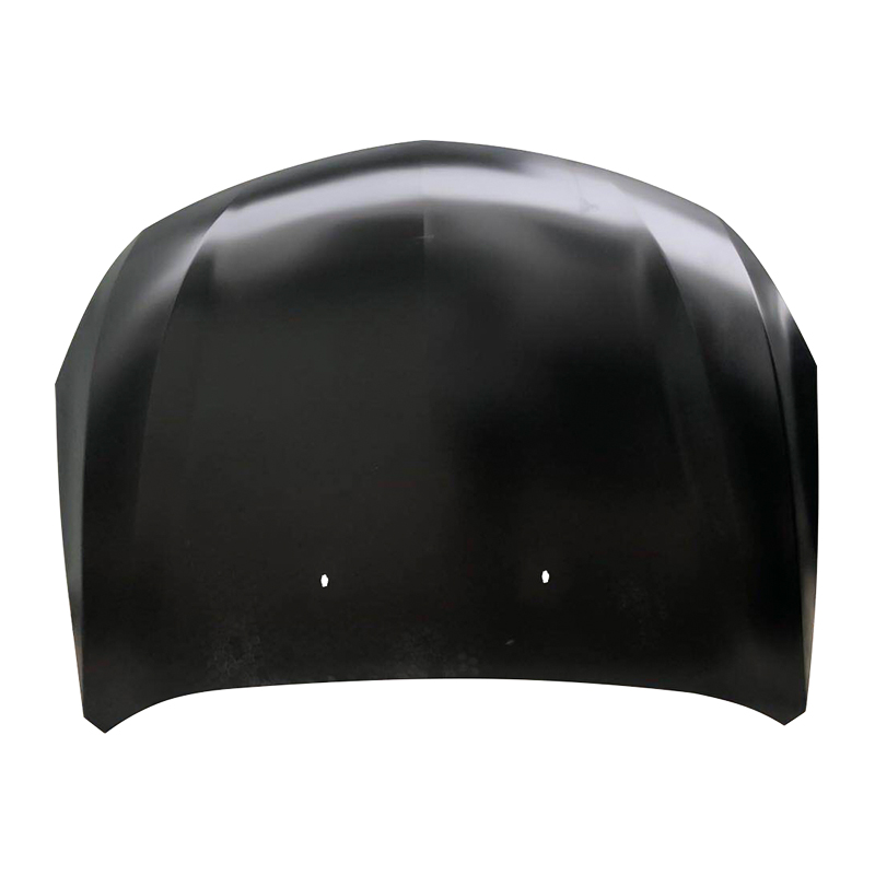 BT50'13 Haube