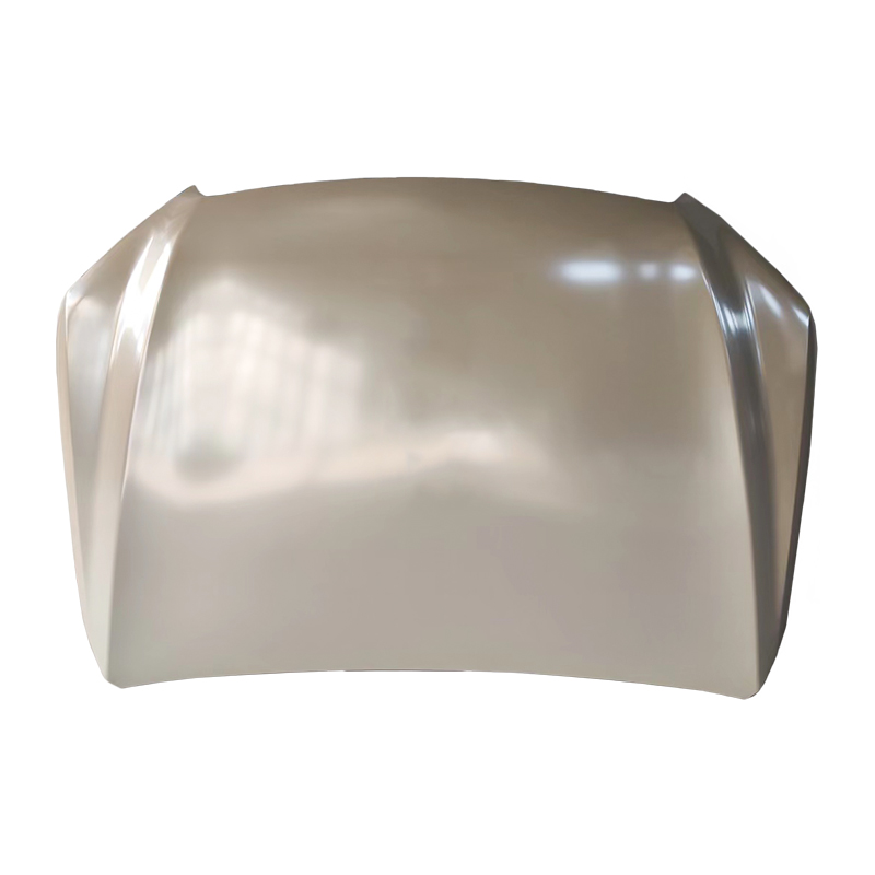 D-MAX 20 Haube