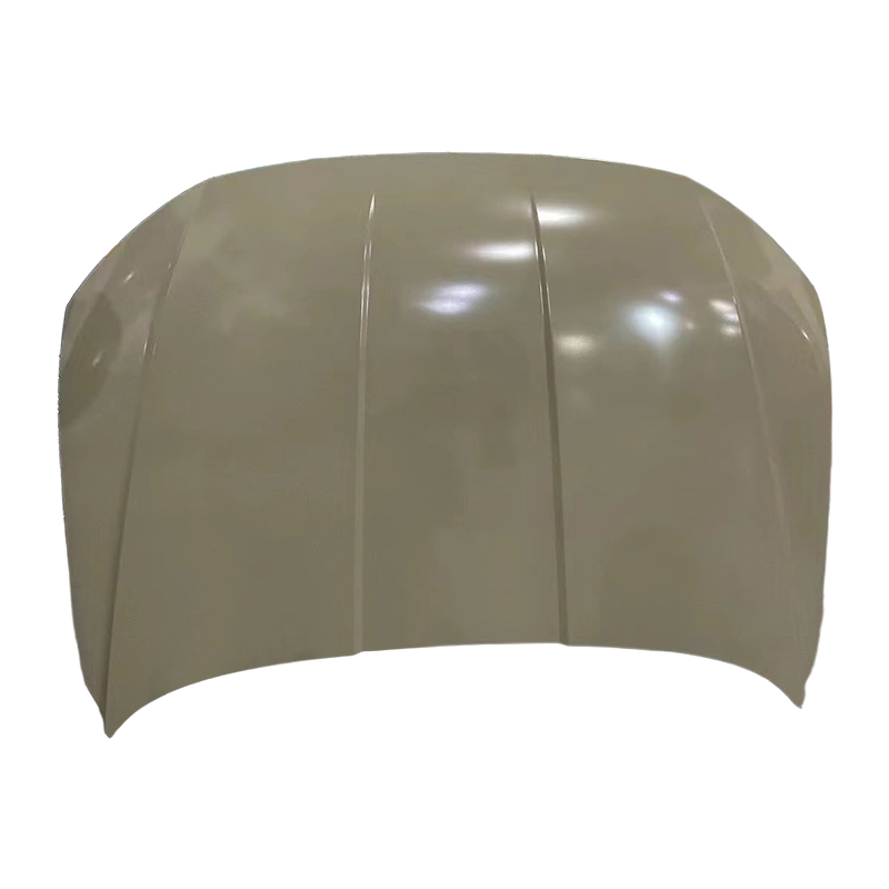 TUCSON 22 MITTLERER OSTEN -EURPOE Hood